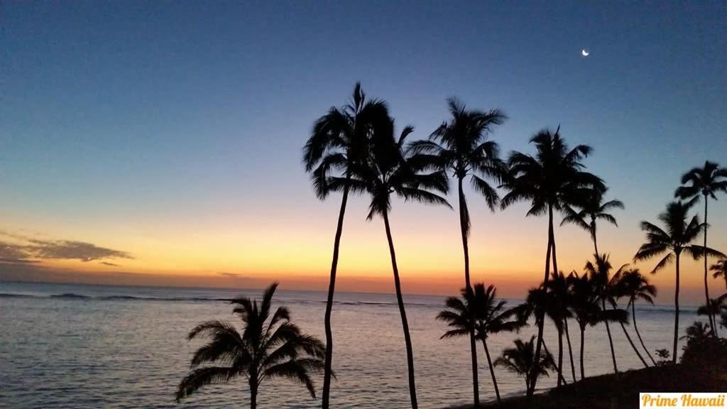 Beachfront Condo With Amazing Views ハウウラ エクステリア 写真